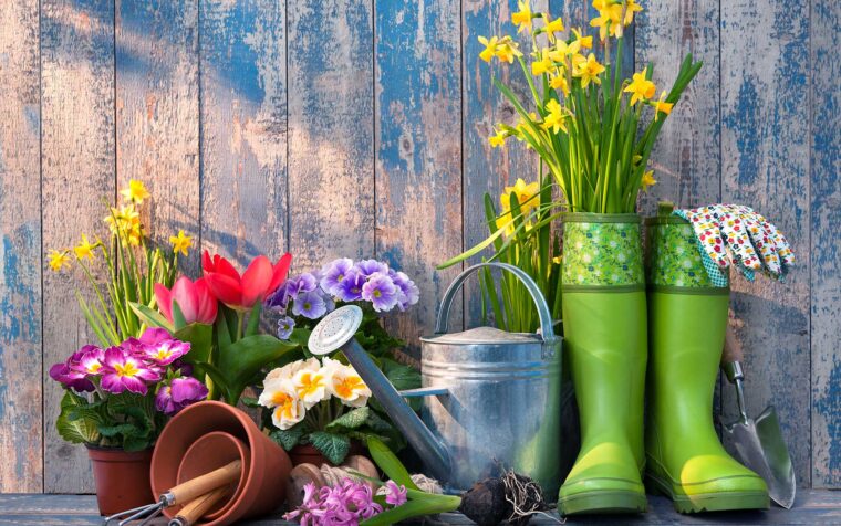 Spring garden display with colourful flowers, green wellington boots, watering can, and gardening tools arranged against weathered wooden backdrop.
