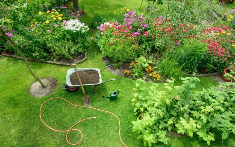 Overhead view of a lush garden with flowering plants, vegetable shrubs, and a wheelbarrow of natural fertiliser on grass.