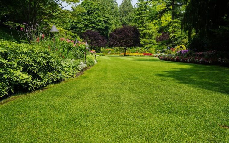 Lush green lawn bordered by vibrant flower beds and mature trees in a well-maintained garden, showcasing results of natural lawn food.