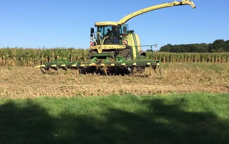 Yellow forage harvester chopping maize in expansive field under clear blue sky during harvest season.
