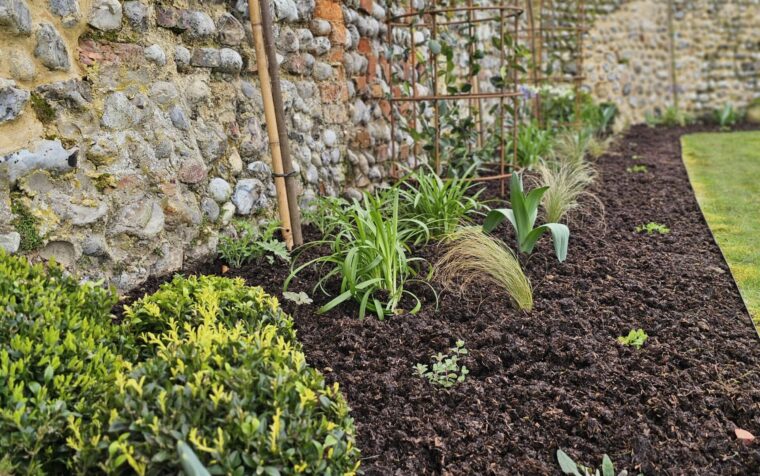 Walled kitchen garden bed bordered by stone, planted with young vegetables and herbs alongside ornamental box, mulched with rich organic soil conditioner.